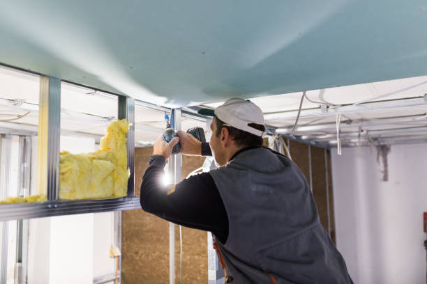 Best Insulation for Specific Applications in Central, SC