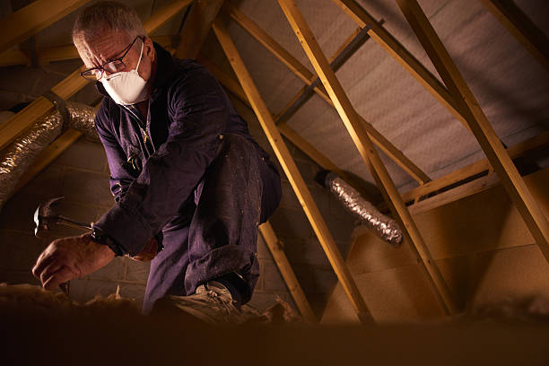 Professional Insulation Contractor in SC