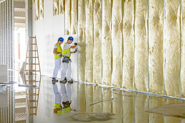 Best Commercial Insulation in Central, SC
